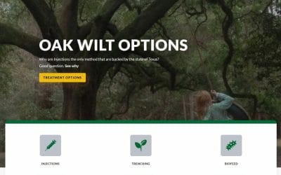 Oak Wilt Options